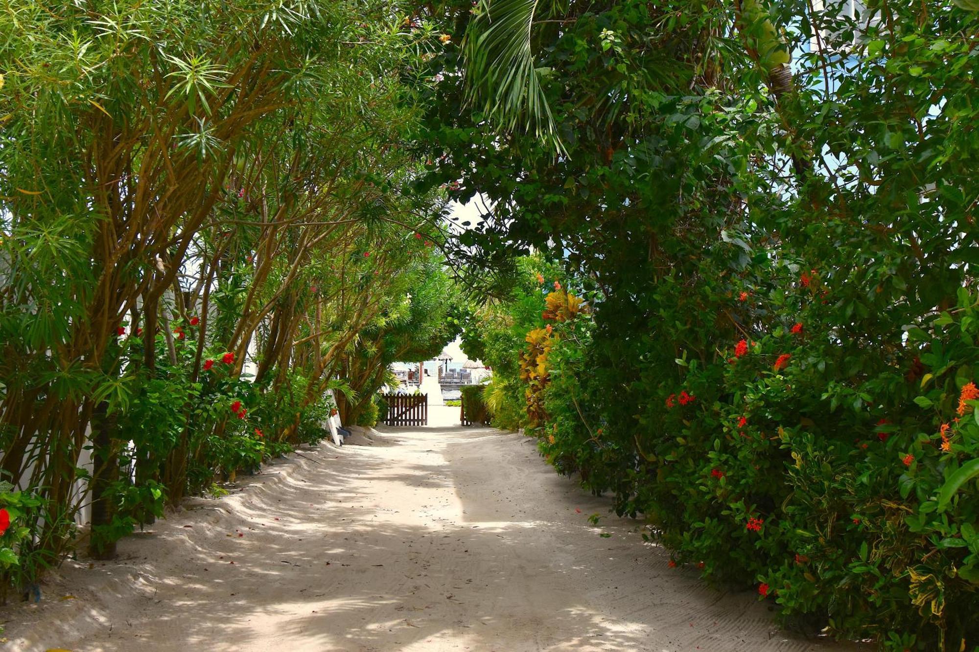 Palmetto Garden Cottage 키코커 외부 사진